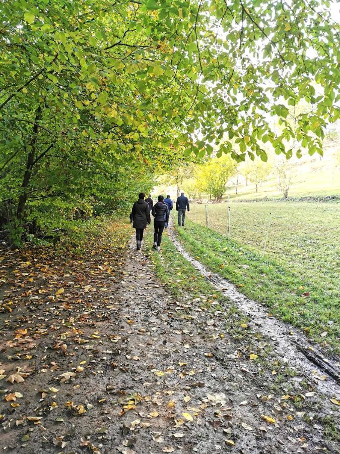 Ferienwohnung Im Turm Bellevue Mit 3 Schlafzimmern Sachsenheim Zewnętrze zdjęcie
